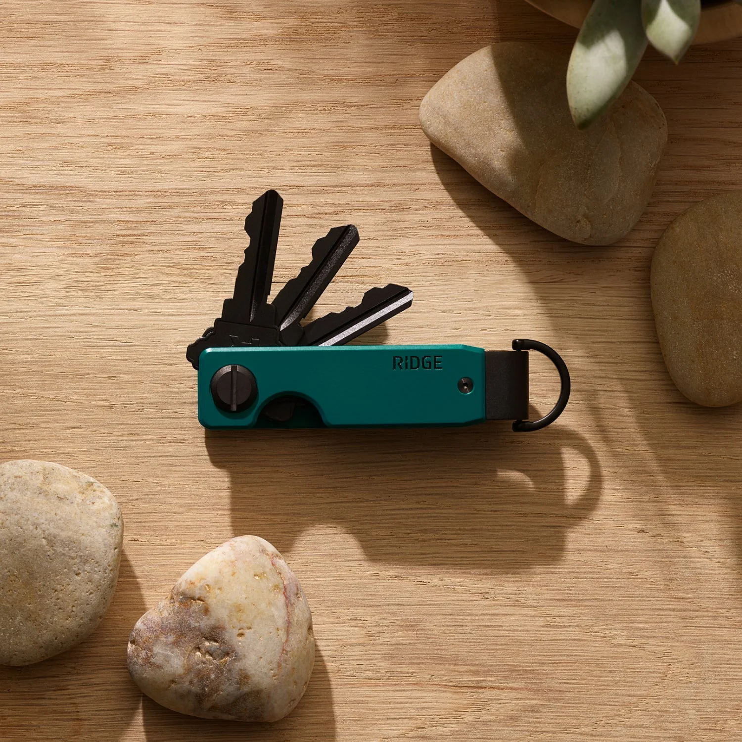 Ridge KeyCase - Desert Pine - Image 6